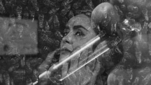 Die Wespenfrau Bild 6