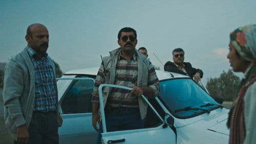 Dema dirîreşkan Bild 6