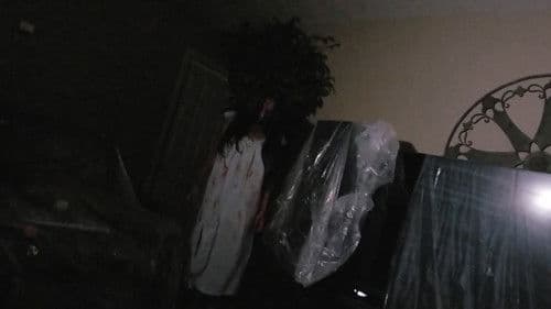 Paranoia Tapes 5: Rewind Bild 1