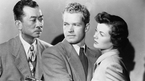 The Clay Pigeon Bild 1