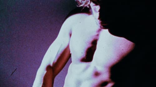 LA Plays Itself Bild 5