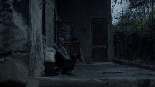 Հիմնավոր մաքրություն Bild 3