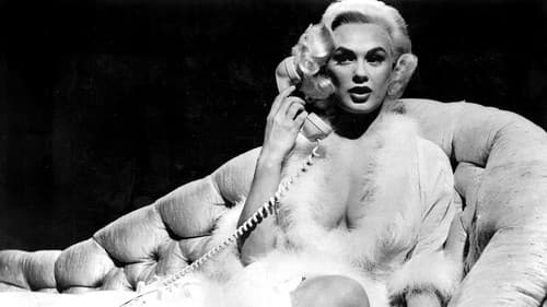 Razzia auf Callgirls Bild 1