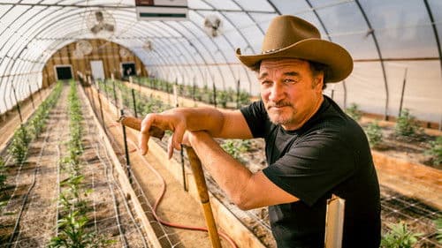 Growing Belushi Bild 4