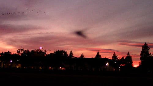 i've been running n shi Bild 7