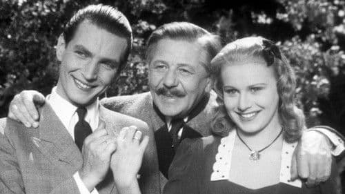 Der Hofrat Geiger Bild 1