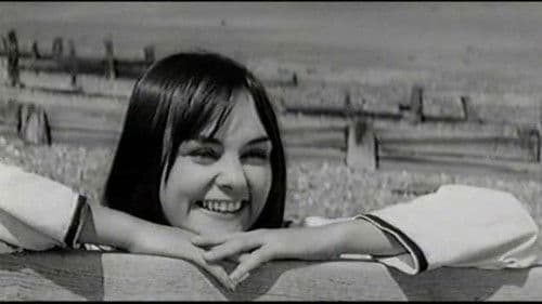 Versuch's mal auf Französisch Bild 6