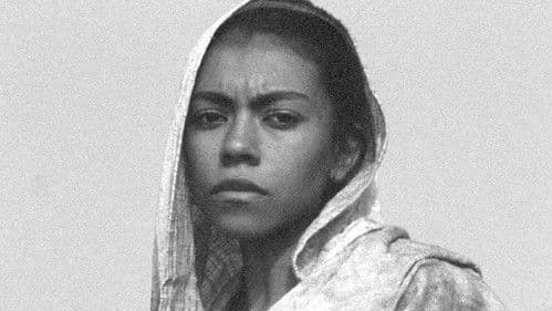 Lèv la tèt dann fénwar Bild 1