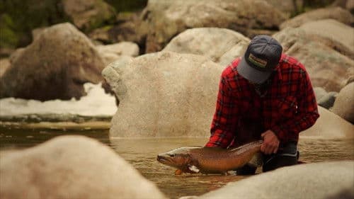 Only the River Knows Bild 1