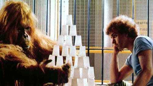 Noccioline a colazione Bild 1