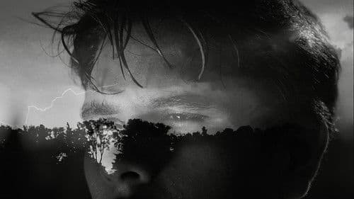 A Voyeurs Body Bild 1