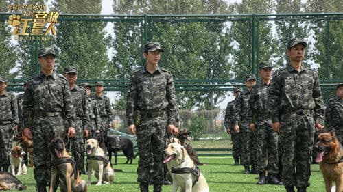 营救汪星人 Bild 1