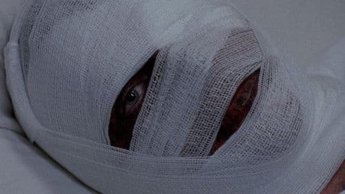 Asylum of Darkness Bild 1