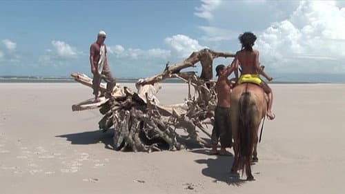 Two Poles For Every Hole Bild 2