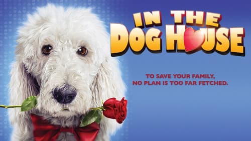 In the Dog House Bild 2