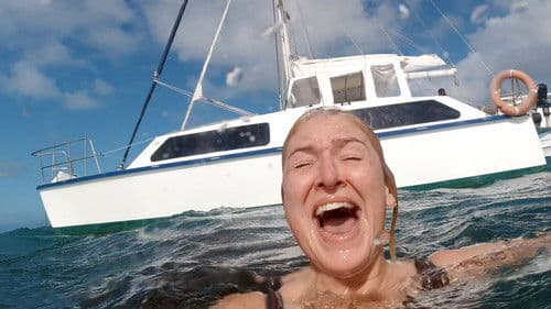 Hai-Alarm im Paradies Bild 4