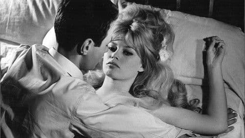 In Freiheit dressiert Bild 1