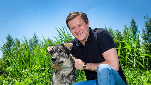 Refuge animal Bild 3