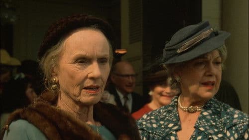 Miss Daisy und ihr Chauffeur Bild 5