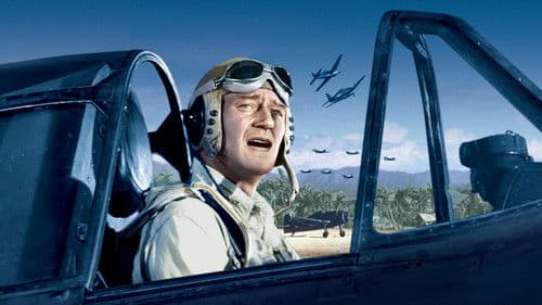 Stählerne Schwingen Bild 7