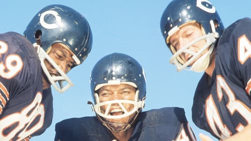 Freunde bis in den Tod Bild 7