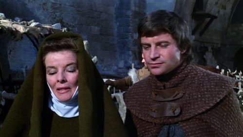 Der Löwe im Winter Bild 7