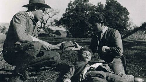 Keine Gnade für Tom Dooley Bild 1