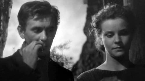 Eine Generation Bild 4