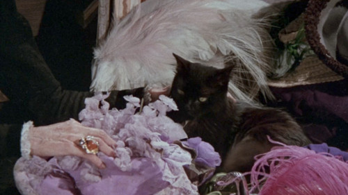 Más negro que la noche Bild 5