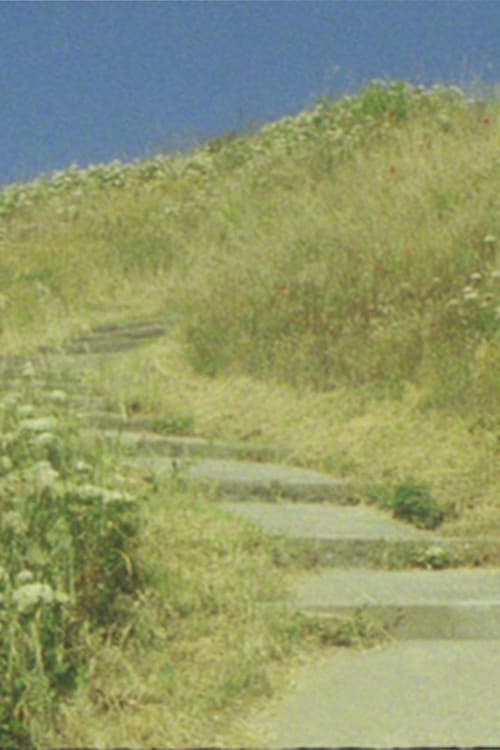 La mouette... et la gloire à Dieu