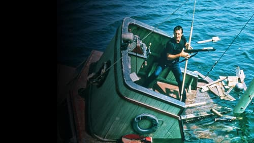 Der weiße Hai Bild 7