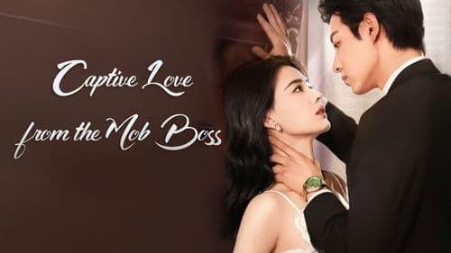 闪婚后我成了大佬的掌中之物 Bild 1