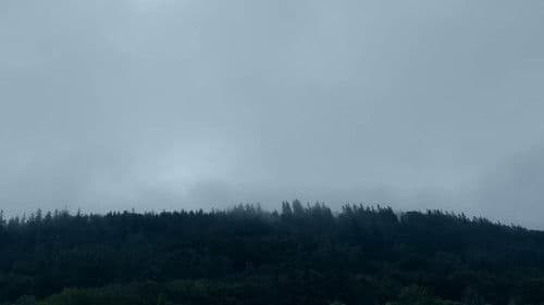 AURORA: Nothing Is Eternal Bild 3