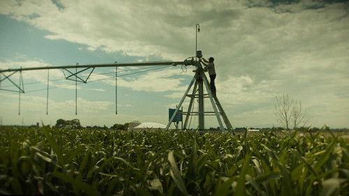 'Til Harvest Comes Bild 3