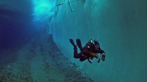 Begegnungen am Ende der Welt Bild 4