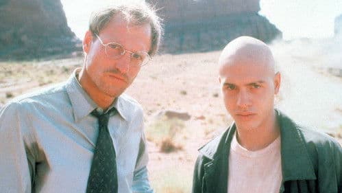 The Sunchaser Bild 5