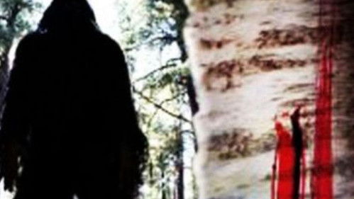 Devil on the Mountain - Teuflische Bedrohung Bild 1