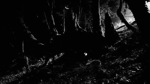 Lorsque la Nuit Tombe Bild 2