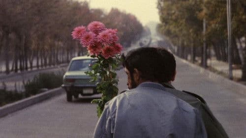 کلوزآپ ، نمای نزدیک Bild 7