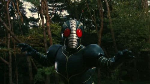 仮面ライダーZO Bild 4