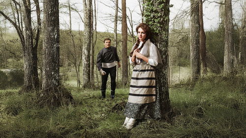 Senede Bir Gün Bild 3