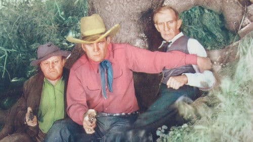 Law for Tombstone Bild 1