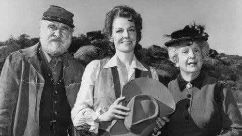 Pistolen und Petticoats Bild 1