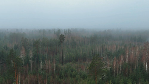 Vecgada vakara slaktiņš 2 Bild 6