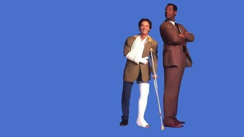 Reine Glückssache Bild 6