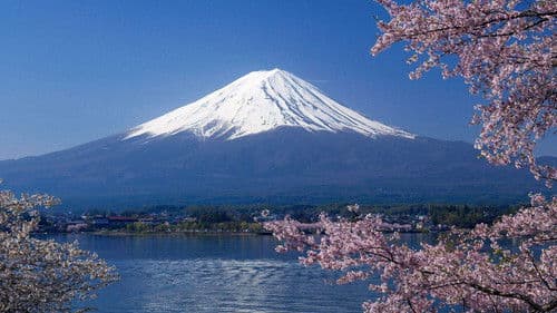 プロフェッショナル 仕事の流儀 Bild 1