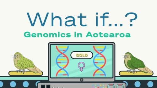 What if...? Genomics in Aotearoa Bild 3