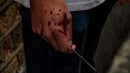 Magenta House Bild 2