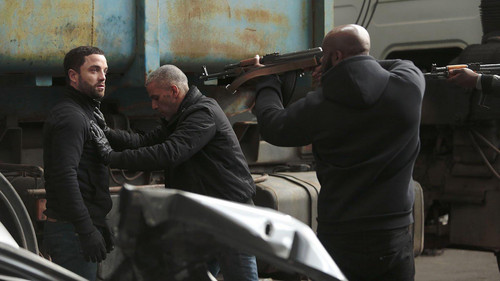 Im Auge des Wolfes Bild 2