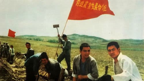 金光大道（中集） Bild 1